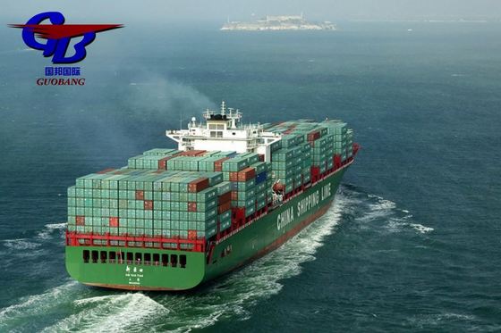 Shipping Service Customs Capacity Import and Customs Clearance from to Europe with 8000-10000 kg Total Supply