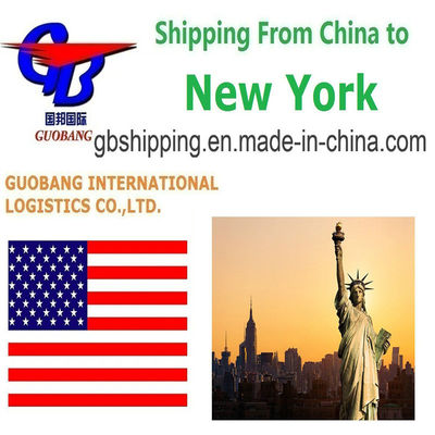 Professional and Affordable 40GP Daily Departure Shipping Services From to York