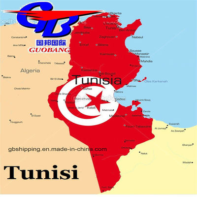 One Stop Service Booking-Pick up-Custom Clearance-on Board Air Shipping Sq to Tunisia Air Transport Solutions