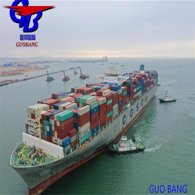 Daily Departure Reffer Container Freight Shipping From Xiamen to Umm Qasr Iraq Middle East Service Professional Logistics