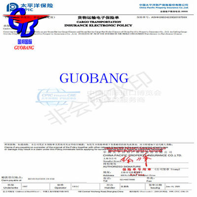 Customs Capacity Insurance Policy for International Shipments by Leading Shipping Company