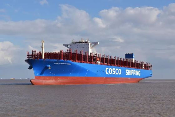 Professional Shipping From To Africa transportation solutions offering flexible scheduling and competitive transit times
