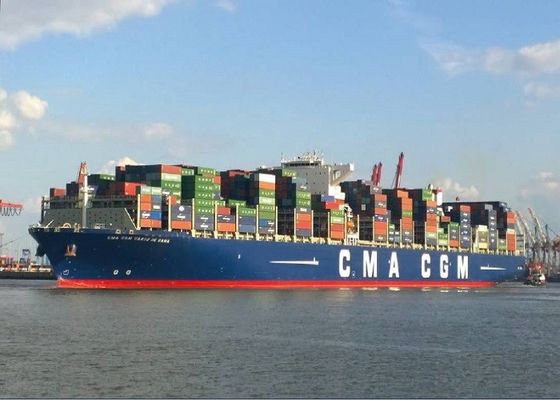 China To India FCL 40GP International Freight Forwarder