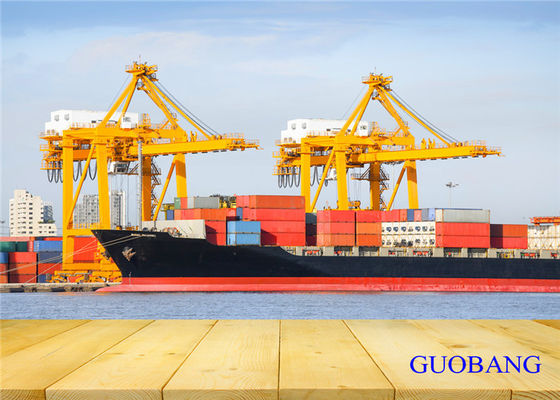 Sea Freight 20GP Shipping From China To New Zealand