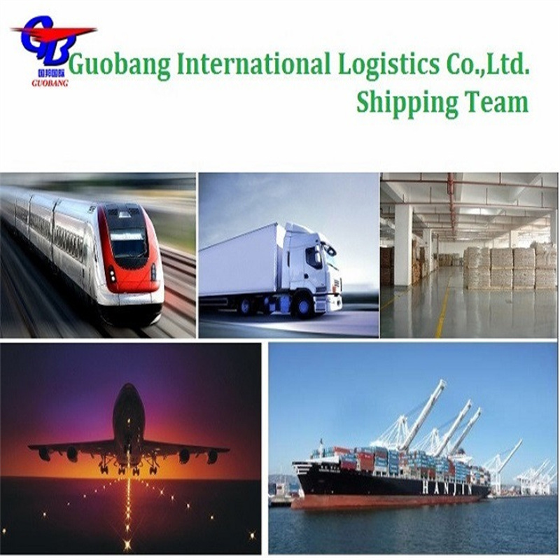 Best Service Advantage3 Shipping From to Europe by Air and Sea Total Supply 8000-10000 kg