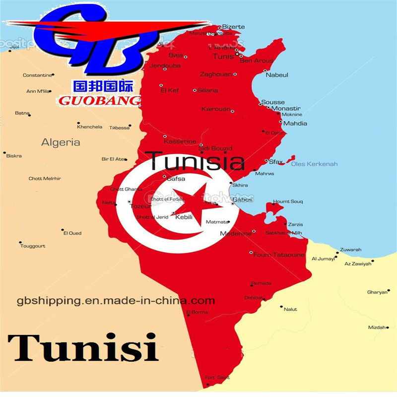 One Stop Service Booking-Pick up-Custom Clearance-on Board Air Shipping Sq to Tunisia Air Transport Solutions