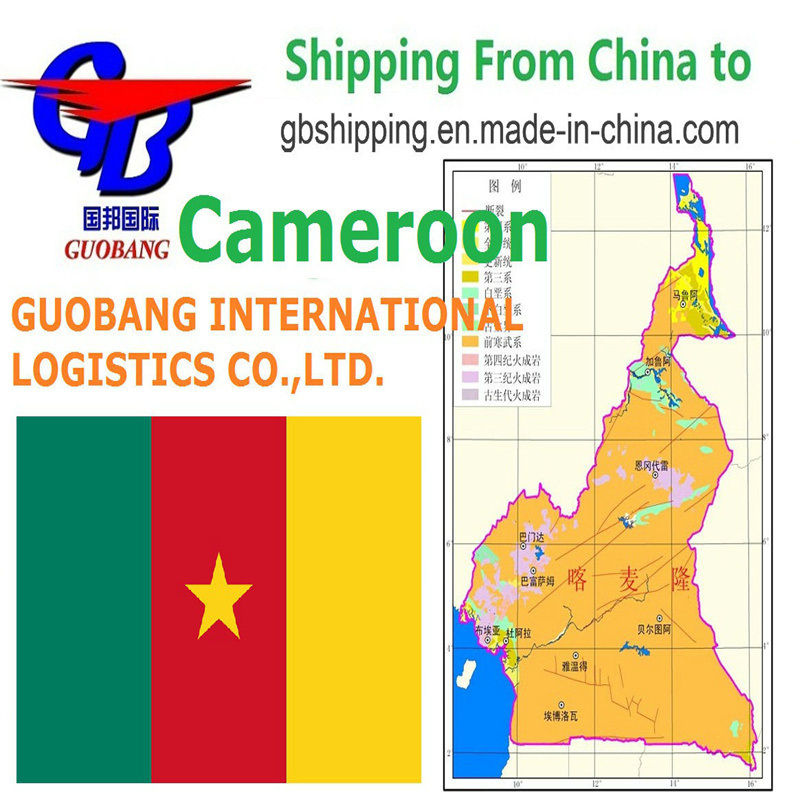 Trucking Pick up From Suppliers to Port/Warehouse Shipping From to Cameroon by air Sea Shipping Apl