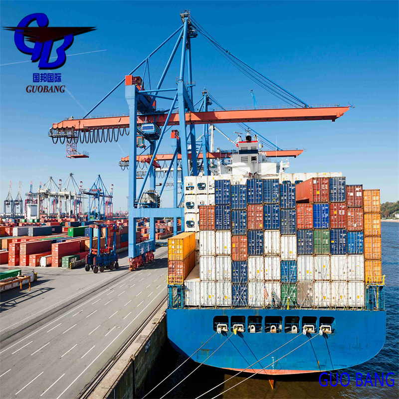 Combine Shipment From Several Suppliers Ocean Freight to Rotterdam Holland Europe Destination with Special Service