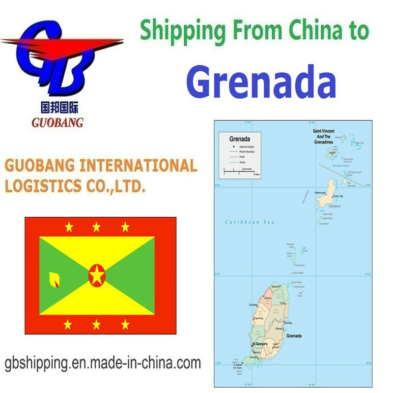 Air Shipping Services From to Grenada Xiamen Co/Fa/Fe/FF Add-on Service