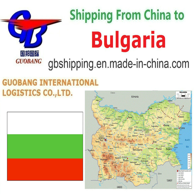 Trucking Pick up From Suppliers to Port/Warehouse Shipping Service Air Sea Freight LCL FCL Courier