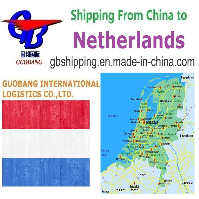 One Stop Service Air Shipping Services From to Netherlands Trucking Pick up From Suppliers to Port/Warehouse