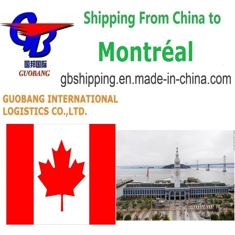 Express Service DHL Convenient and Affordable Air Sea Freight LCL FCL Courier Shipping to Montreal